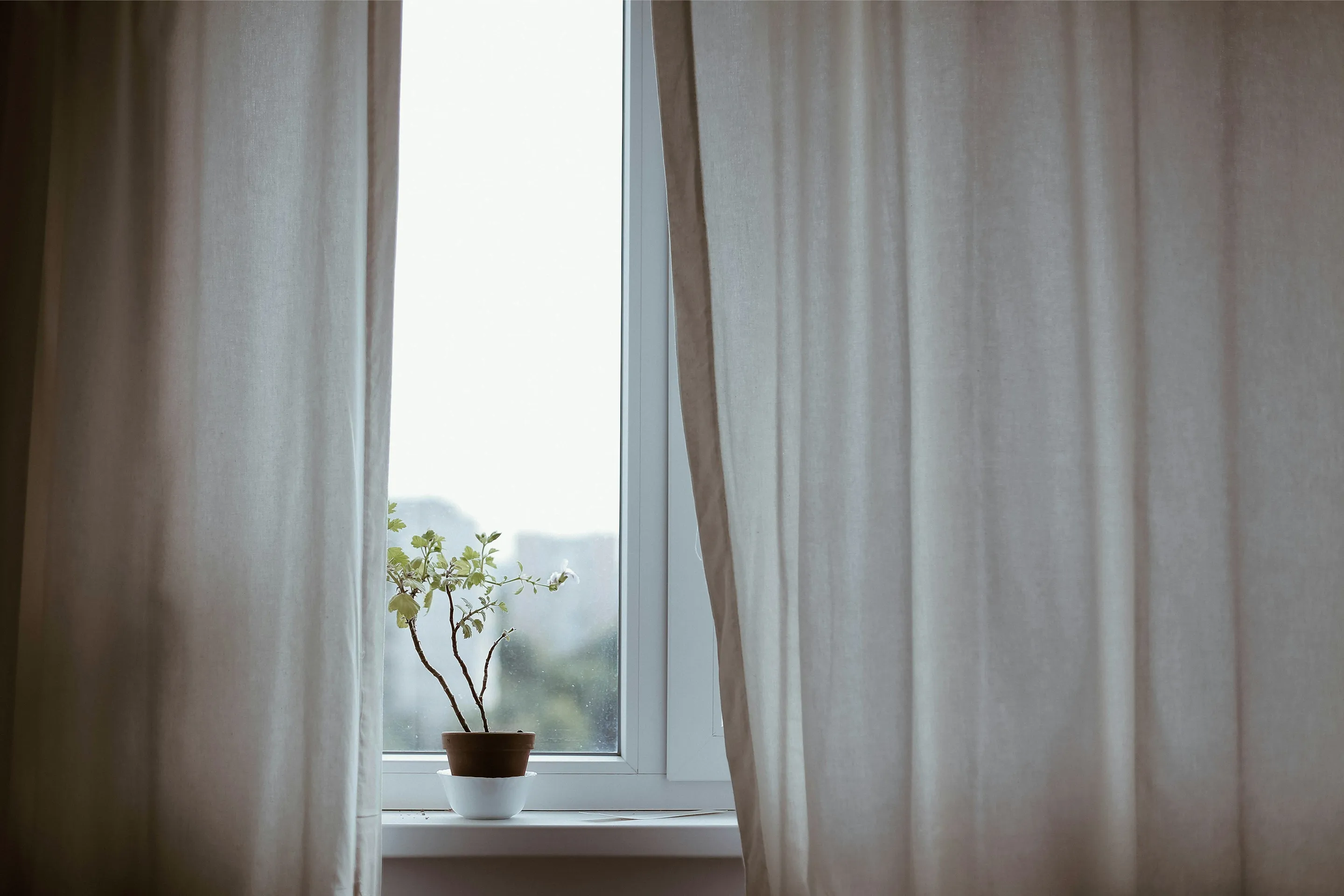 Soft curtains framing a small plant by a bright window